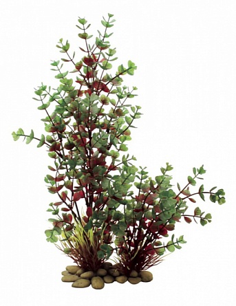 Декоративное растение "Бакопа красно-зеленая" из пластика фирмы ARTUNIQ, 30см  на фото