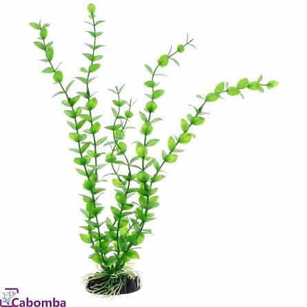 Растение пластиковое Barbus Бакопа зелёная 30 см на фото