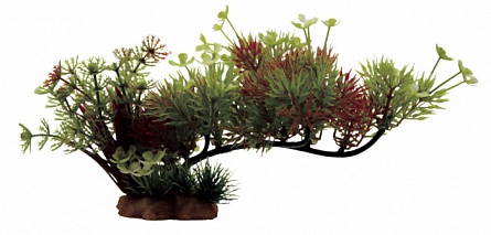 Декоративная растительная композиция на ветке "Роголистник" фирмы ArtUniq (23x10x12см)  на фото