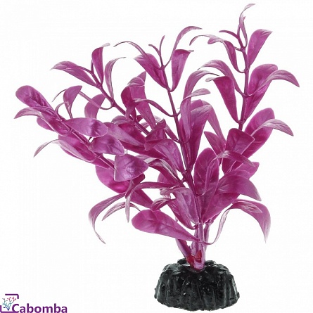 Растение пластиковое Barbus  Альтернателла лиловая (10 см) на фото