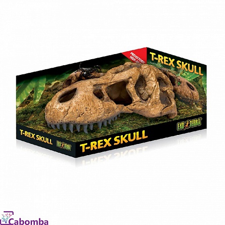 Укрытие грот для террариумов Hagen EXO TERRA “T-Rex Skull” (Череп тираннозавра Рекса)  на фото