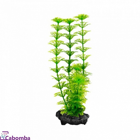 Декоративное растение из пластика “Амбулия” L (Ambulia) фирмы Tetra (30 см)  на фото