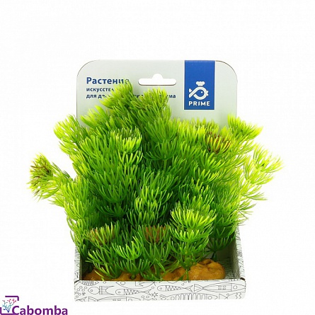Декоративное растение из пластика “Хвощ” фирмы PRIME (15 см)  на фото