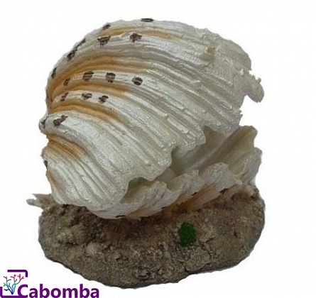 Грот Meijing "Морская раковина" (распылитель) 9х8х6 см на фото