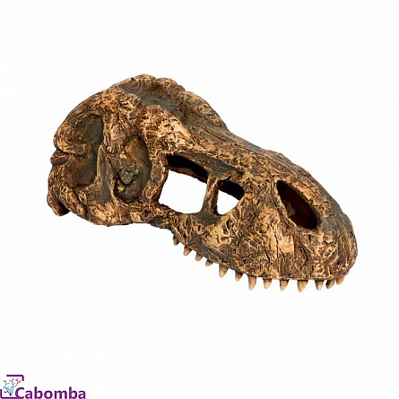 Укрытие грот для террариумов Hagen EXO TERRA “T-Rex Skull”  (Череп тираннозавра Рекса малый) на фото