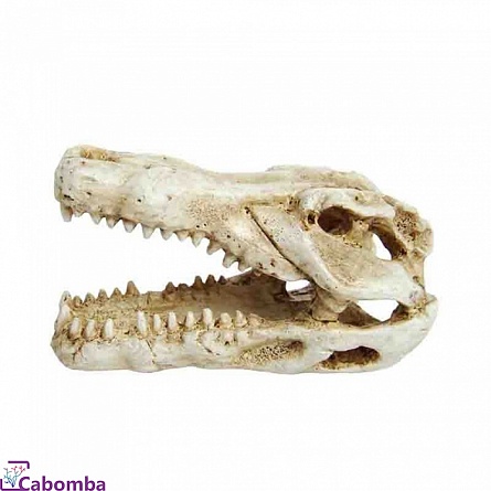 Декорация пластиковая "Череп крокодила мини" (7,5х4,5х4,5 см) на фото