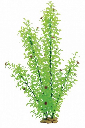 Декоративное растение "Гигрофила многосемянная" из пластика фирмы ARTUNIQ, 60см  на фото