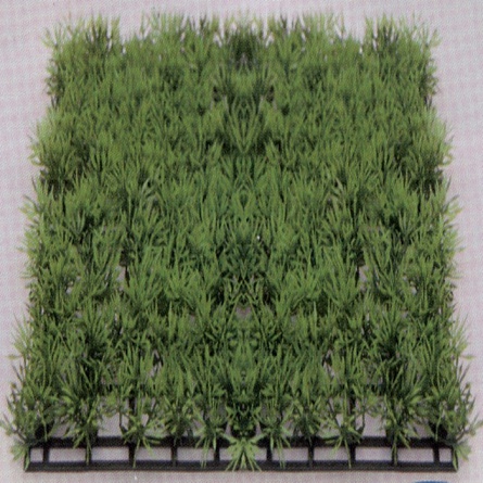 Растение "Коврик" (пластиковое, 12,5х25см, зеленое 83007_12.5) на фото