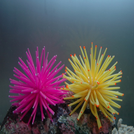 Коралл на керамической основе (силиконовый, желтый, 4.5х4.5х4см) на фото