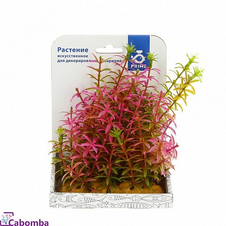 Декоративное растение из пластика “Альтернантера” фирмы PRIME (15 см)  на фото