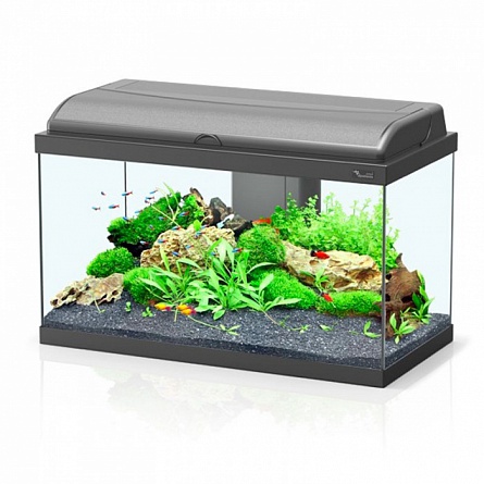 Прямоугольный аквариум AQUATLANTIS AQUADREAM 60 LED (60х30х40 см/черный/54 л)  на фото