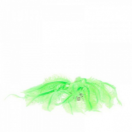 Декоративный коралл из силикона зелёного цвета фирмы Vitality(4х4х12 см) на фото