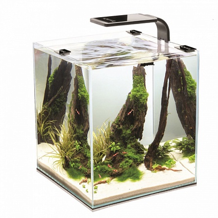Аквариум "Shrimp Set 30 SMART PLANT II" для креветок и крабов фирмы Aquael (29*29*35 см/черный/30 л) на фото