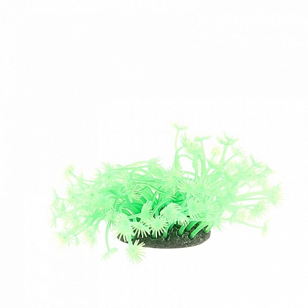 Декоративный коралл (ластик+силикон) зелёного цвета фирмы Vitality(5х5х10 см)  на фото