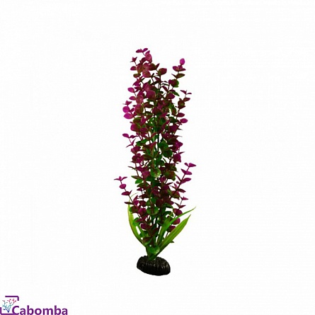 Пластиковое растение Бакопа красная фирмы Barbus  (30 см) на фото