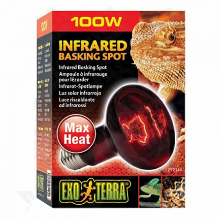 Сменная лампа дневного точечного свечения "EXO TERRA Heat Glo Infrared" фирмы Hagen мощность 100 Вт на фото