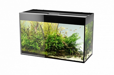 Прямоугольный аквариум "GLOSSY 120" фирмы Aquael (120х40х63 см/черный/260 литров)  на фото