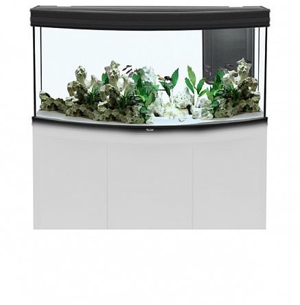 Панорамный аквариум "FUSION HORIZON 120" с LED-освещением 52 Вт фирмы AQUATLANTIS (120x50x60 см/черный глянец/322 литра)  на фото