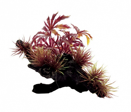Декоративная растительная композиция на коряге "Абутилон красный" фирмы ArtUniq (20x14x10см)  на фото