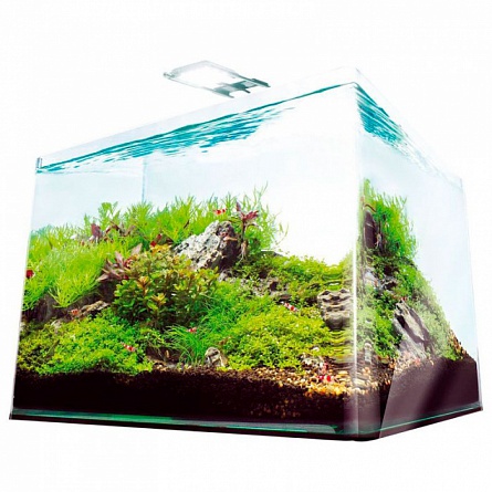 Кубический аквариум Dennerle Scapers Tank Complete (40x32x28 см/35 л) на фото