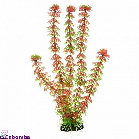 Пластиковое растение Кабомба красная 10 см фирмы Barbus на фото