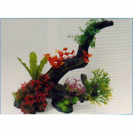 Декоративная фито-композиция для акваскейпинга  из растений и коряги (39*23*43см)фирмы VITALITY на фото