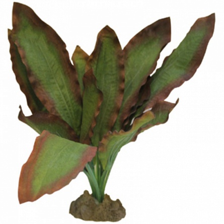 Растение PRIME Эхинодорус Розеа (шелковое-13см) на фото