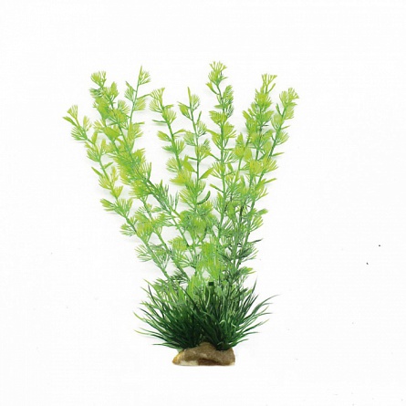 Растение ArtUniq Кабомба (шелк, 20 см_2) на фото