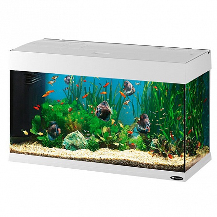 Прямоугольный аквариум FERPLAST DUBAI 80 (81x36x51 см/белый/125 л) на фото