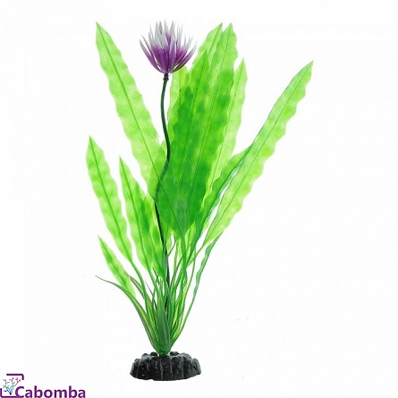 Растение пластиковое Barbus Апоногетон курчавый (30 см) на фото