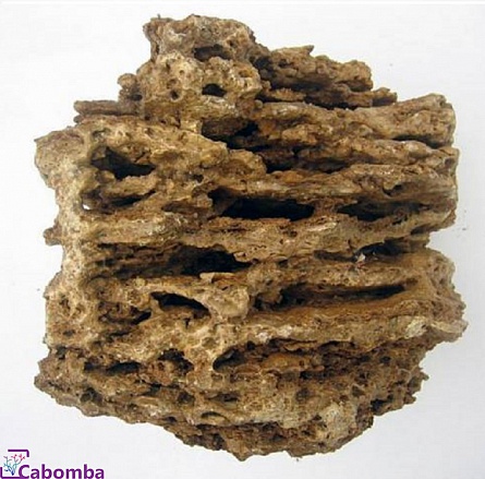 Камень натуральный “Песчаник пещеристый” желтый (цена за 1 кг)  на фото