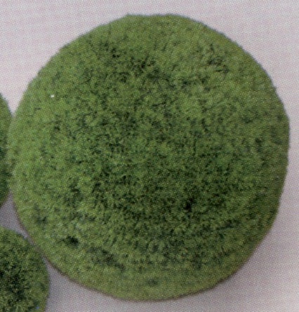Растение "Коврик-шар" (пластиковое, D=22см зеленое (2866_22)) на фото