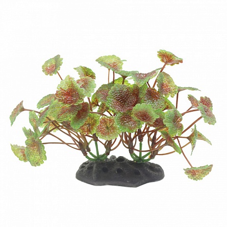 Декоративное растение из пластика "Щитолистник красно-зелёный"(10-12 см) фирмы ArtUniq  на фото