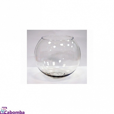 Аквариум шар (4 литра) на фото