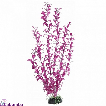 Растение пластиковое Barbus  Альтернателла лиловая 50 см на фото