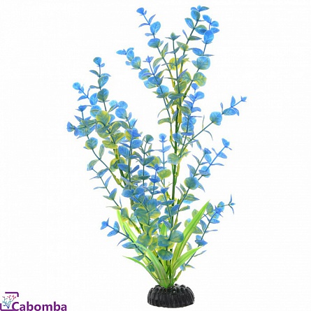 Пластиковое растение Бакопа синяя фирмы Barbus (10 см) на фото