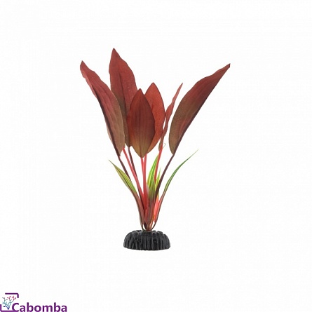 Растение шелковое Barbus Криптокорина красная (20 см) на фото