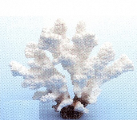 Декоративный коралл из пластика белого цвета фирмы (SH9201W) Vitality (14х7х12 см)  на фото
