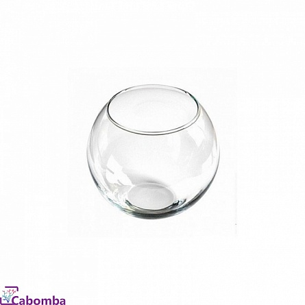 Аквариум шар малый (3,5 литра) на фото