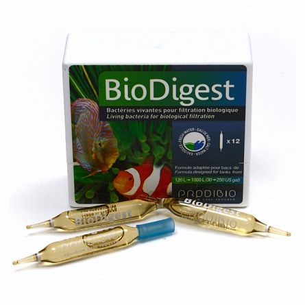 Бактериальное средство высокой концентрации Prodibio Bio Digest (12 амп) на фото