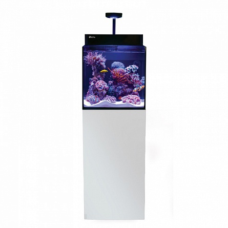 Морской нано-аквариум MAX Nano фирмы RED SEA с тумбой (45х45х132 см/белый/ 75 л)  на фото