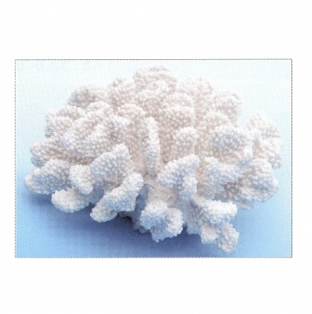 Декоративный коралл из пластика белого цвета (большой) фирмы Vitality (20х19х9,5 см)  на фото