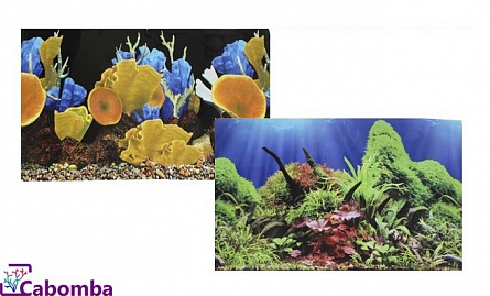 Двусторонний фон “Морские кораллы/Подводный мир” фирмы Prime (30х60 см)  на фото