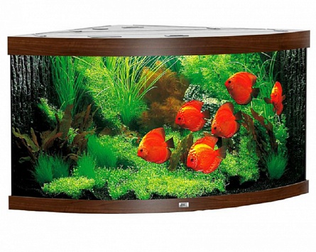 Угловой аквариум Trigon 350 фирмы JUWEL (123*87*65 см/тёмно-коричневый/350 литров)  на фото