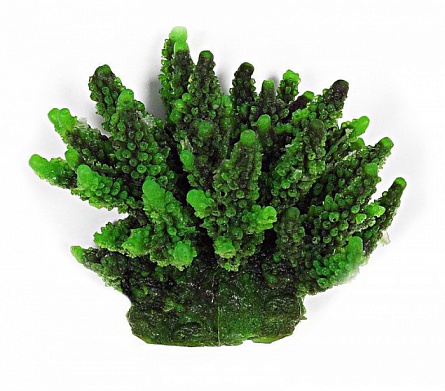 Декоративный коралл из пластика зелёного цвета фирмы Vitality (11,5х10х9 см) на фото