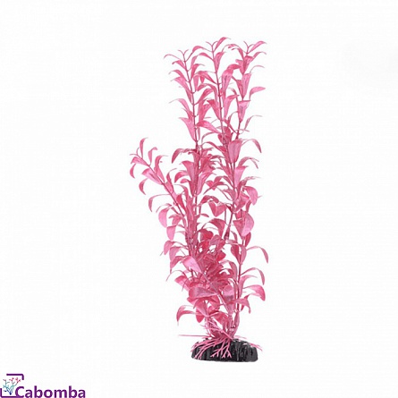 Пластиковое растение Альтернателла лиловая фирмы Barbus (20 см) на фото