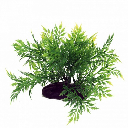 Растение ArtUniq Болбитис (пластик, 10-12 см) на фото