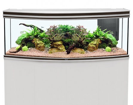 Панорамный аквариум "FUSION HORIZON 150" с LED-освещением 72 Вт фирмы AQUATLANTIS (150x55x60 см/венге/463 литра)  на фото
