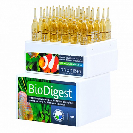 Бактериальное средство высокой концентрации Prodibio Bio Digest (30 амп 1*1000 л) на фото