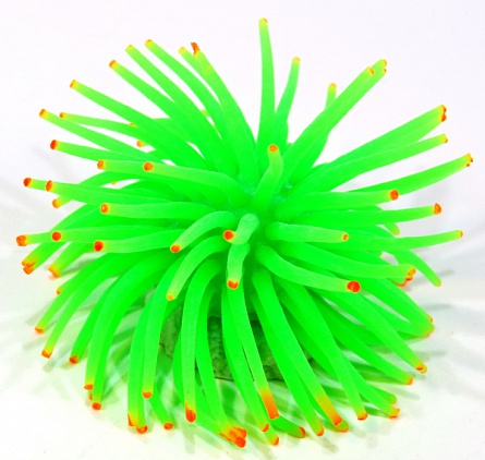 Декоративный коралл из силикона зелёного цвета с керамической основой фирмы Vitality (4.5х4.5х4 см)  на фото